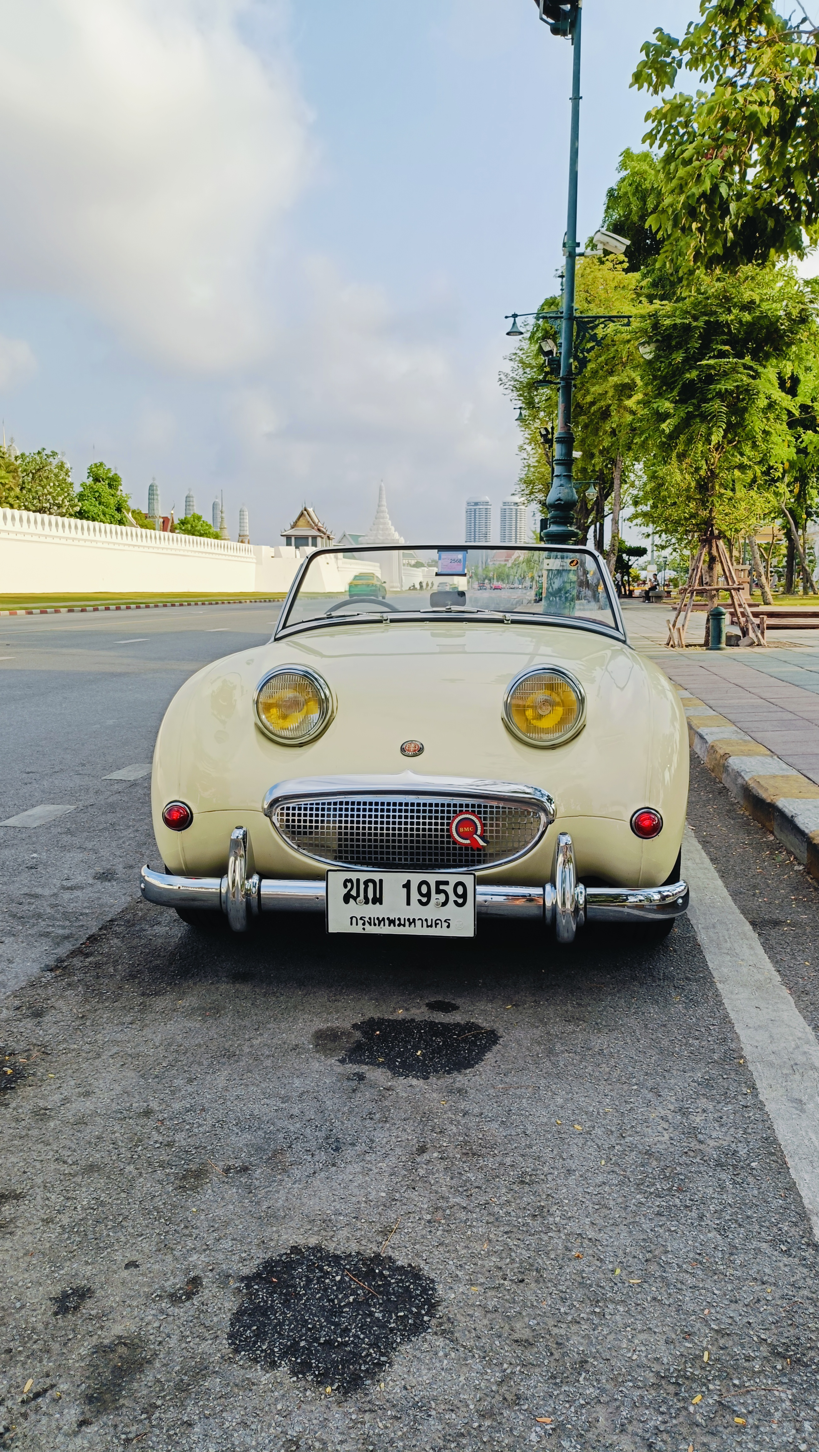 Austin healey 