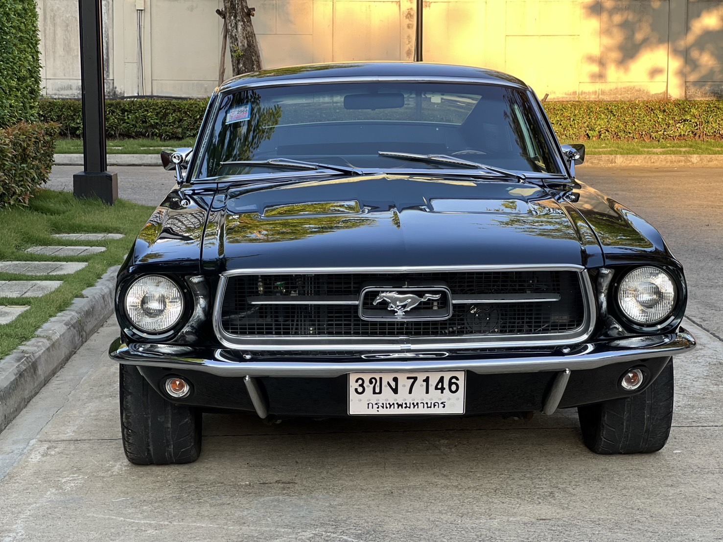 FORD 